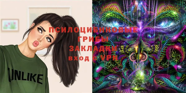 тгк Алексеевка