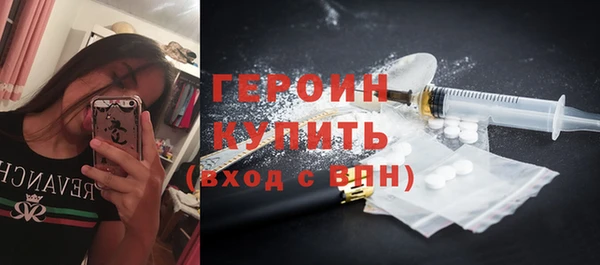 гашик Алексин