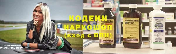 гашик Алексин