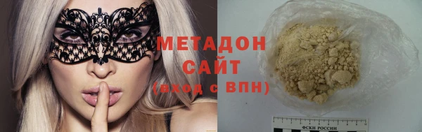 гашик Алексин