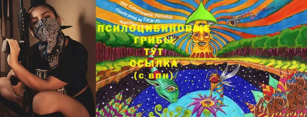 гашик Алексин
