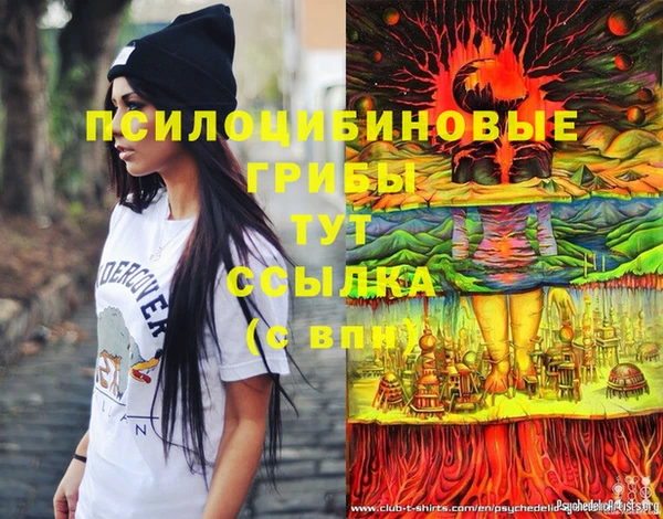 тгк Алексеевка