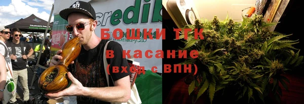 гашик Алексин