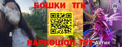 молекула духа Кингисепп