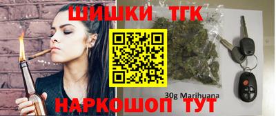 молекула духа Кингисепп