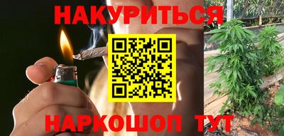 молекула духа Кингисепп