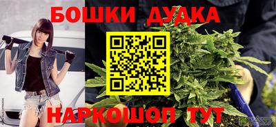 молекула духа Кингисепп