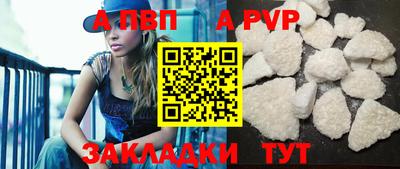 молекула духа Кингисепп