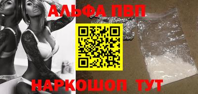 молекула духа Кингисепп